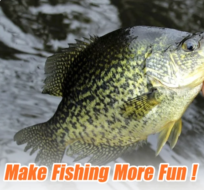 Kurappī Mini Jig Crappie Slayers クラッピー