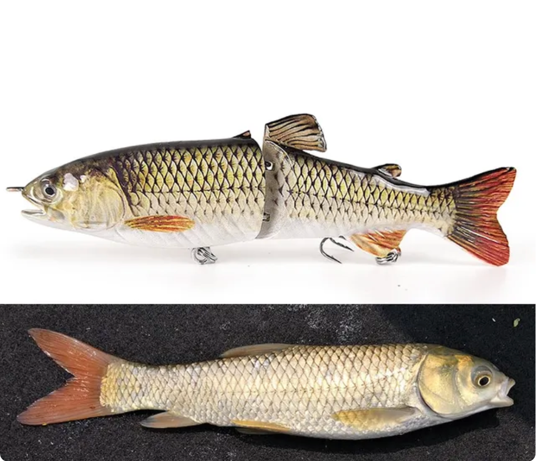 Trout Imitation Glide Bait – Fishaddictbrand